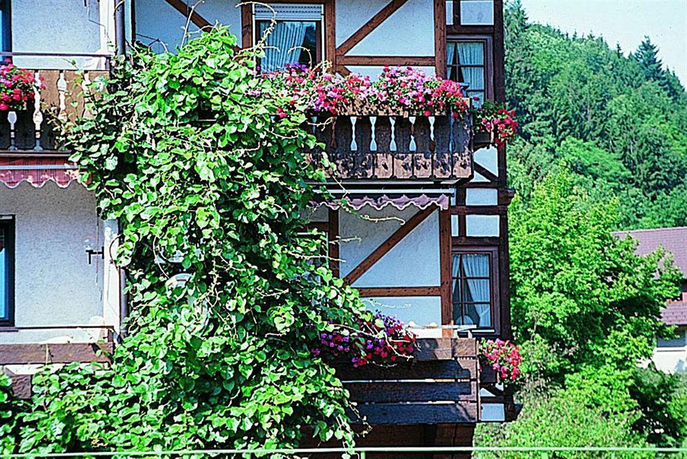 Hotel Hirsch Bad Peterstal-Griesbach Ngoại thất bức ảnh